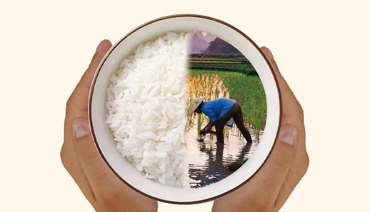 反對食品浪費，崇尚節(jié)儉美德